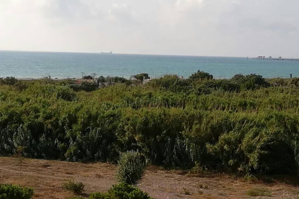 Apartamento Playa Canet Valencia Eksteriør billede